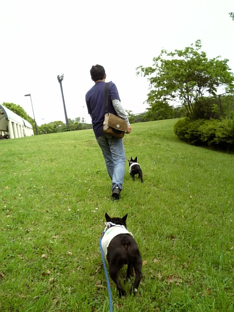 20080504_しおさしドッグランD.jpg