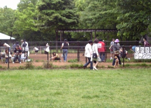 20080504_しおさしドッグランE.jpg