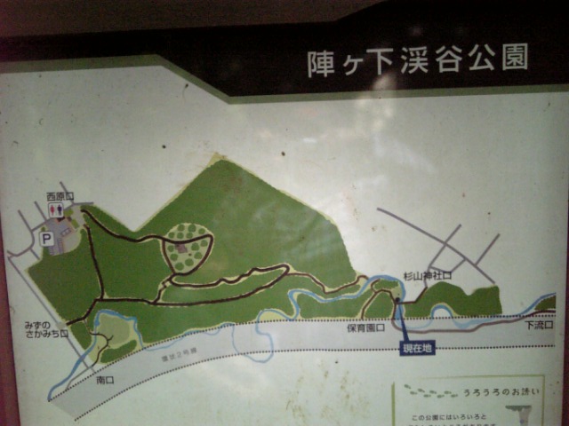 20080616_陣ケ下渓谷公園@.jpg