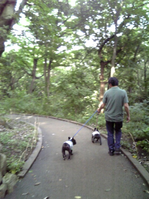 20080616_陣ケ下渓谷公園A.jpg
