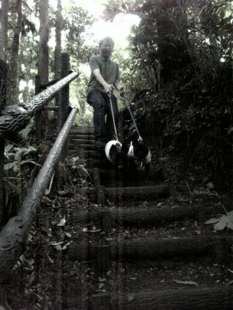 20080616_陣ケ下渓谷公園B.jpg