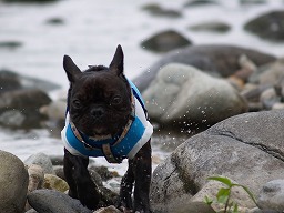 20080726_ߐ{C.jpg