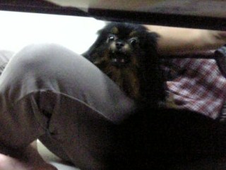 20080731_ˑR̂UF.jpg