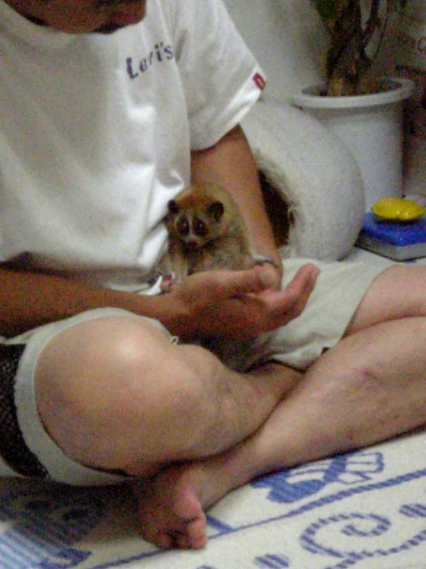 20080731_ˑR̂UI.jpg