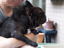 20080809_Ńv[E.jpg